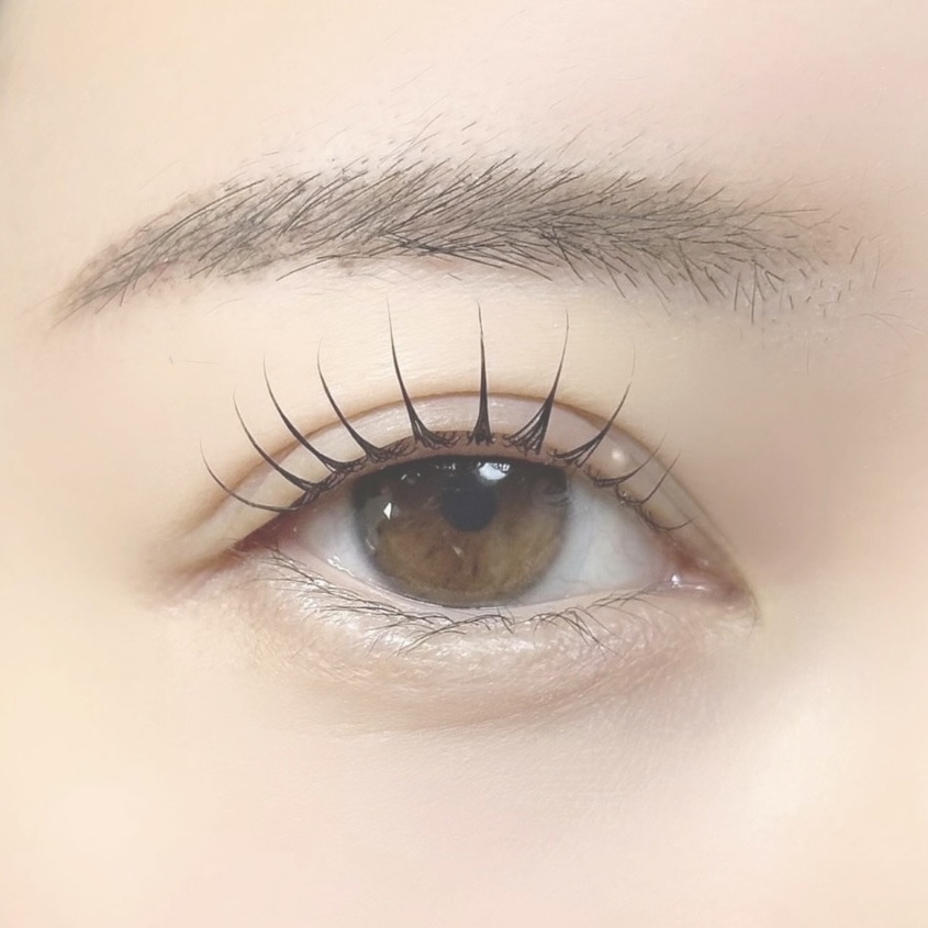 eyelash & brow - 3